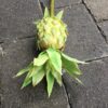Kunstig gul ananas på pind