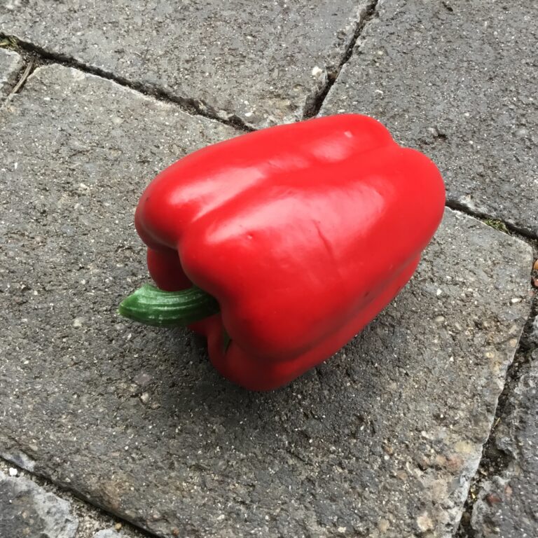 Rød peberfrugt super naturtro - Dekorativ paprika - Dekolagersalg