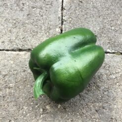 Grøn peberfrugt super naturtro