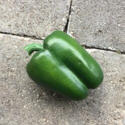 Grøn peberfrugt super naturtro