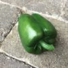 Grøn peberfrugt super naturtro