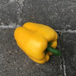 Gul peberfrugt super naturtro