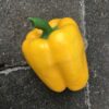 Gul peberfrugt super naturtro