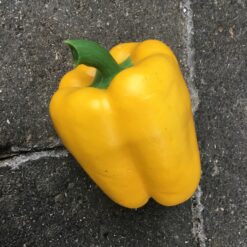 Gul peberfrugt super naturtro