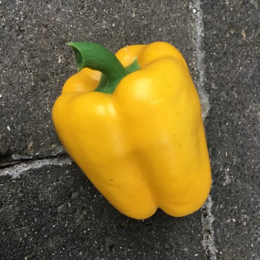 Gul peberfrugt super naturtro