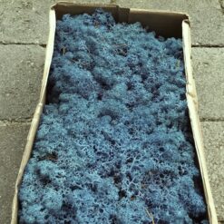 Kasse Islandsk mos blå farve