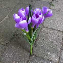 Dekorativ lilla krokus buket