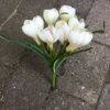 Dekorativ cremefarvet krokus buket