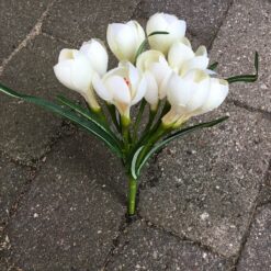 Dekorativ cremefarvet krokus buket