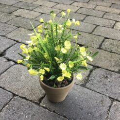 Gule blomster i grå lerpotte