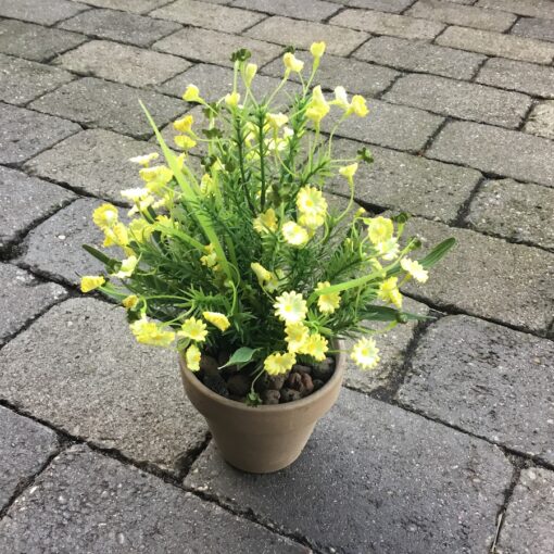 Gule blomster i grå lerpotte