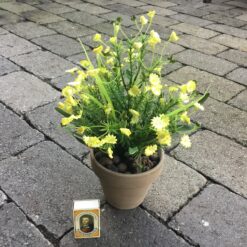 Gule blomster i grå lerpotte