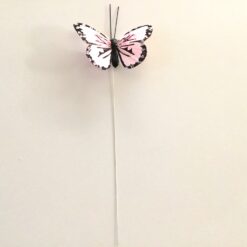 Lille baby rosa sommerfugl