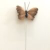 Dekorativ lille brun sommerfugl