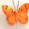 Lille stærk orange sommerfugl