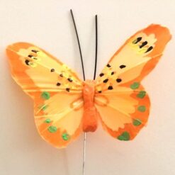 Lille dekorativ orange sommerfugl