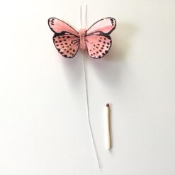 Gammelrosa dekorativ fin sommerfugl