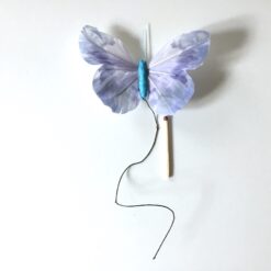 Lavendelblå stor smuk sommerfugl