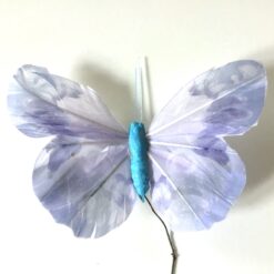 Lavendelblå stor smuk sommerfugl