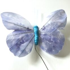 Lavendelblå smuk stor sommerfugl