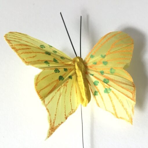 Lille orange gul sommerfugl