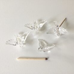 Små fugle i klar plast