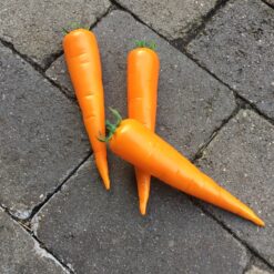 Alternative view of Naturtro gulerod med top