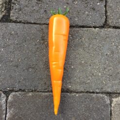 Naturtro gulerod med top