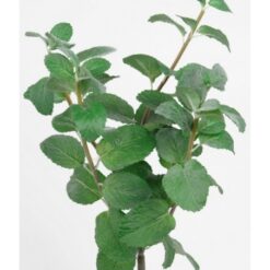 Høj mynte meget naturtro