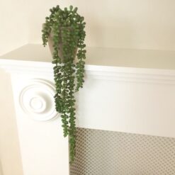 Alternative view of Dekorativ Amarantus i lerpotte