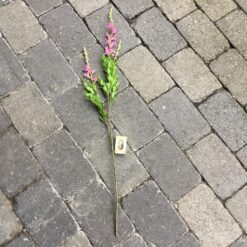 Alternative view of Langstilket blomstergren med pink blomster