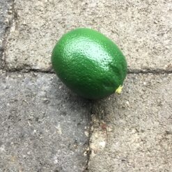 Alternative view of Naturtro limefrugt i plast