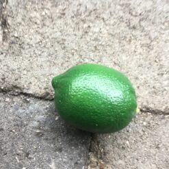 Naturtro limefrugt i plast