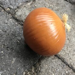 Stort kunstigt brunt løg