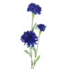 Naturtro blå kornblomst gren