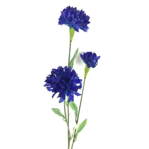 Naturtro blå kornblomst gren