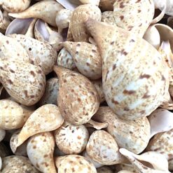 Alternative view of Naturfarvet muslinger med naturligt mønster