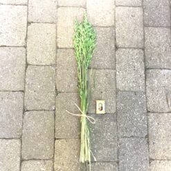 Alternative view of Grøn tørrede havre buket