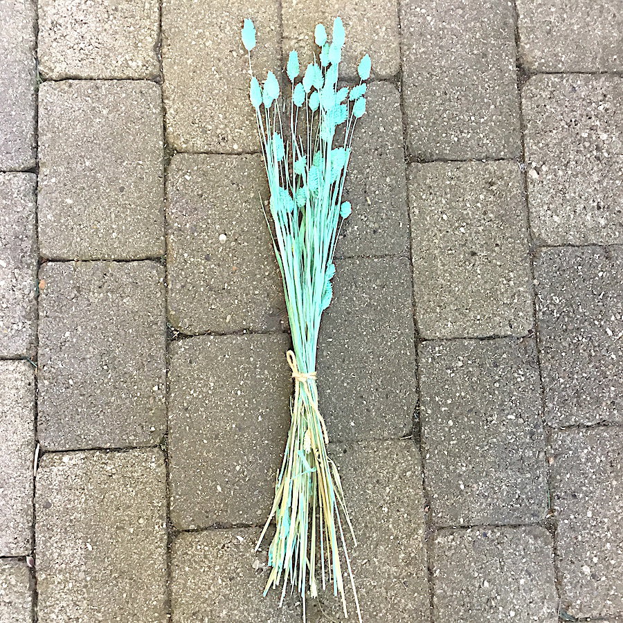 Turkis dekorativ tørrede Phalaris - Billede 4