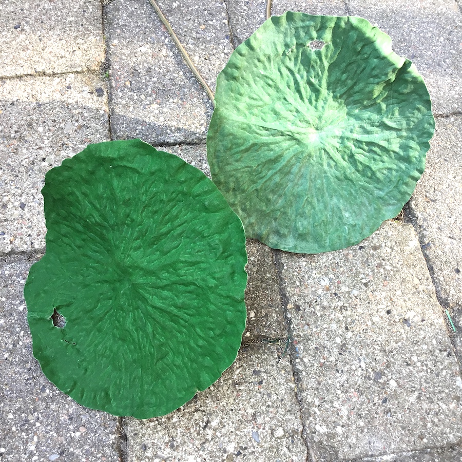Kunstige Vandplanter