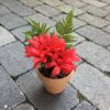 Rød gerbera i lerpotte