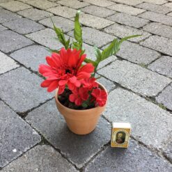 Alternative view of Rød gerbera i lerpotte