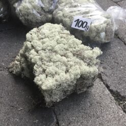 Lys tørrede mos 100g