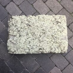 Lys tørrede mos 1350g