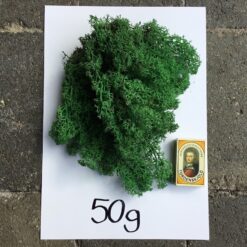 Græsgrøn præserveret mos