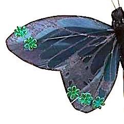 Mørkeblå sommerfugl med blomsterpynt
