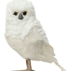 Hvid ugle med fjerdragt
