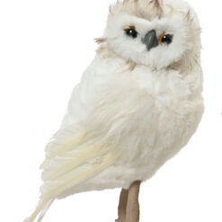 Hvid ugle med beige top