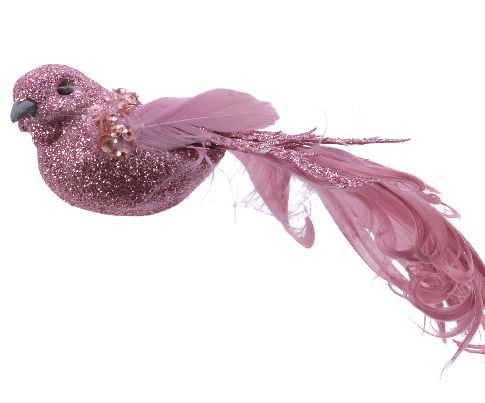 Smuk burgundy fugl med lang hale