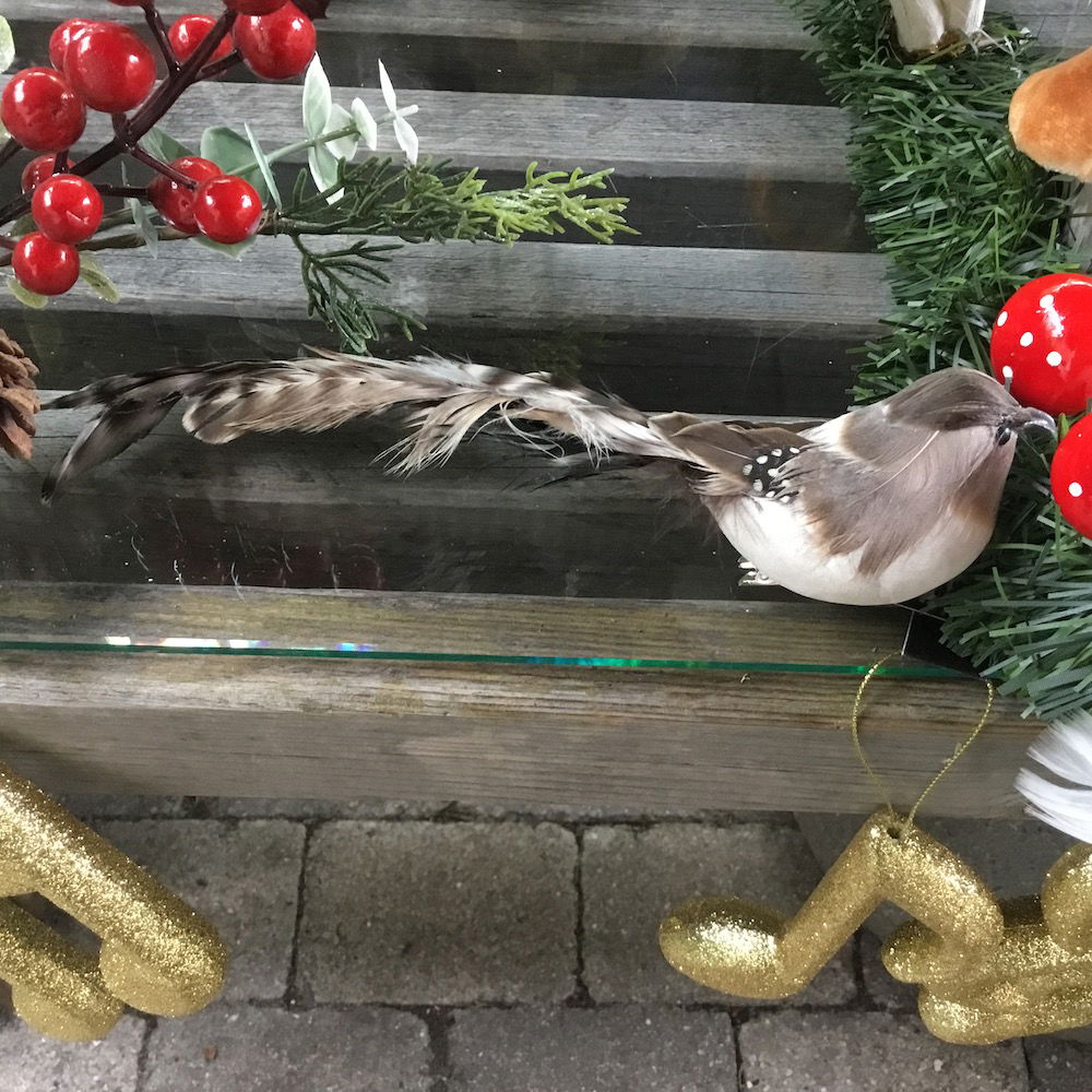 Brun plettet fugl med lang hale - Billede 6